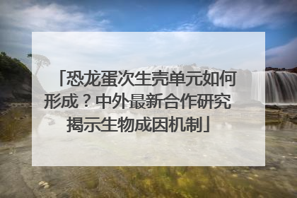 恐龙蛋次生壳单元如何形成？中外最新合作研究揭示生物成因机制