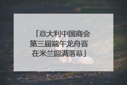 意大利中国商会第三届端午龙舟赛在米兰圆满落幕