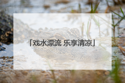 戏水漂流 乐享清凉