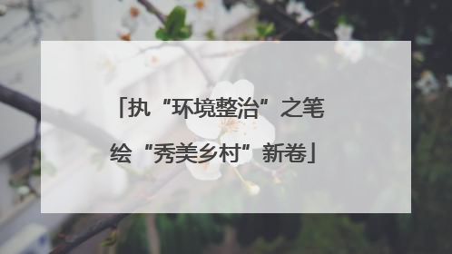 执“环境整治”之笔 绘“秀美乡村”新卷