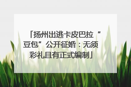 扬州出逃卡皮巴拉“豆包”公开征婚：无须彩礼且有正式编制