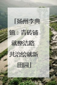 扬州李典镇：青砖铺就整洁路 共治绘就新田园