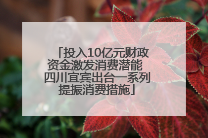 投入10亿元财政资金激发消费潜能 四川宜宾出台一系列提振消费措施