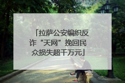 拉萨公安编织反诈“天网”挽回民众损失超千万元
