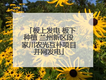 板上发电 板下种植 兰州新区段家川农光互补项目并网发电
