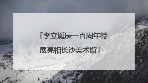李立诞辰一百周年特展亮相长沙美术馆