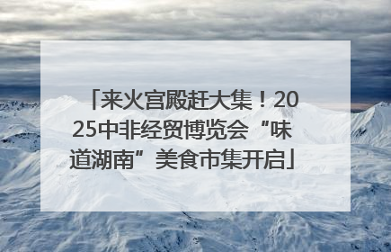 来火宫殿赶大集！2025中非经贸博览会“味道湖南”美食市集开启
