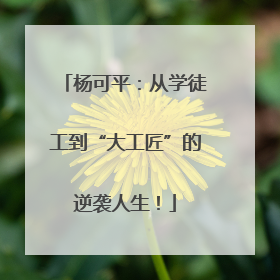 杨可平：从学徒工到“大工匠”的逆袭人生！