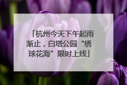杭州今天下午起雨渐止，白塔公园“绣球花海”限时上线