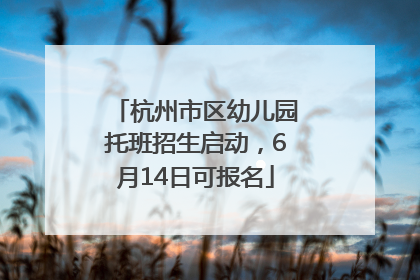 杭州市区幼儿园托班招生启动，6月14日可报名