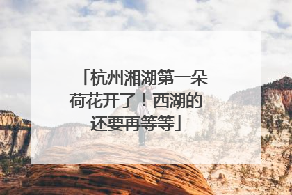 杭州湘湖第一朵荷花开了！西湖的还要再等等