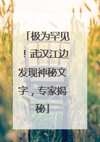 极为罕见！武汉江边发现神秘文字，专家揭秘