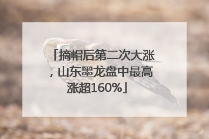 摘帽后第二次大涨，山东墨龙盘中最高涨超160%