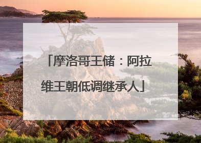 摩洛哥王储：阿拉维王朝低调继承人