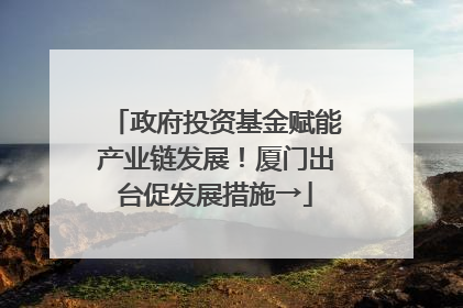 政府投资基金赋能产业链发展！厦门出台促发展措施→