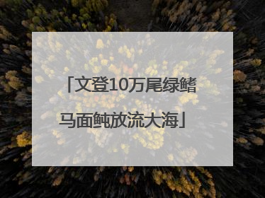 文登10万尾绿鳍马面鲀放流大海