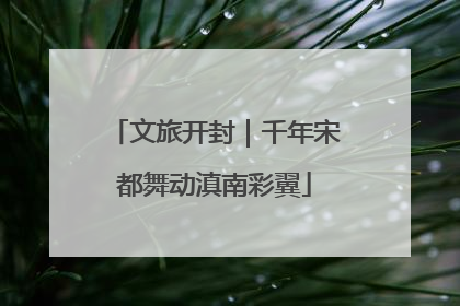 文旅开封｜千年宋都舞动滇南彩翼
