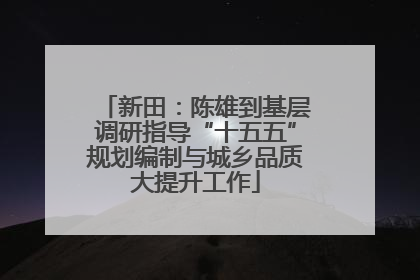 新田：陈雄到基层调研指导“十五五”规划编制与城乡品质大提升工作