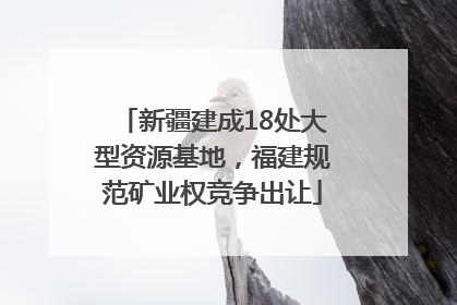 新疆建成18处大型资源基地，福建规范矿业权竞争出让