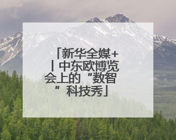 新华全媒+丨中东欧博览会上的“数智”科技秀