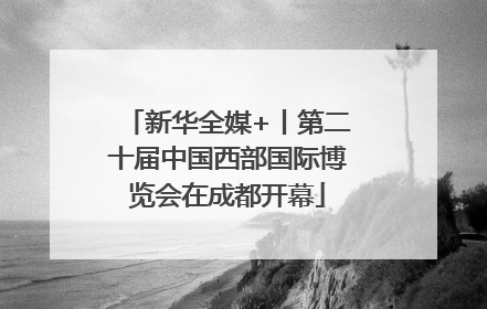 新华全媒+丨第二十届中国西部国际博览会在成都开幕