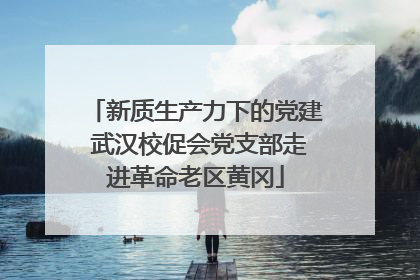 新质生产力下的党建 武汉校促会党支部走进革命老区黄冈