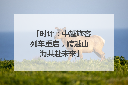 时评：中越旅客列车重启，跨越山海共赴未来