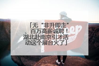 无“非升即走”、百万高薪诚聘！湖北赴南京引才活动这个展台火了