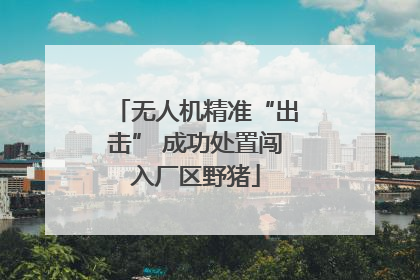 无人机精准“出击” 成功处置闯入厂区野猪