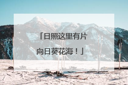 日照这里有片向日葵花海！