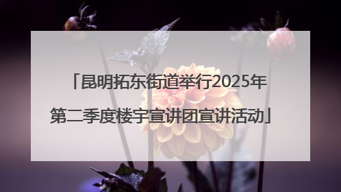 昆明拓东街道举行2025年第二季度楼宇宣讲团宣讲活动