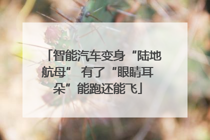 智能汽车变身“陆地航母” 有了“眼睛耳朵”能跑还能飞