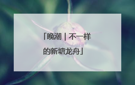 晚潮｜不一样的新塘龙舟