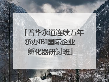 普华永道连续五年承办IBI国际企业孵化器研讨班