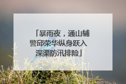 暴雨夜，通山辅警邱荣华纵身跃入深渠防汛排险