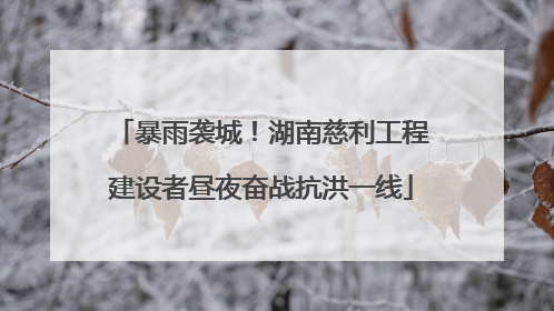 暴雨袭城！湖南慈利工程建设者昼夜奋战抗洪一线
