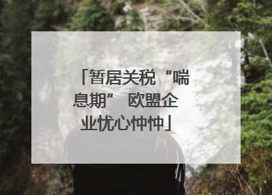 暂居关税“喘息期” 欧盟企业忧心忡忡