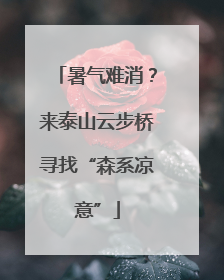 暑气难消？来泰山云步桥寻找“森系凉意”