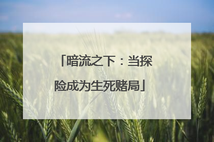 暗流之下：当探险成为生死赌局