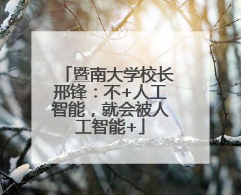 暨南大学校长邢锋：不+人工智能，就会被人工智能+
