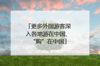 更多外国游客深入各地游在中国、“购”在中国
