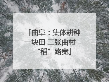 曲阜：集体耕种一块田 二张曲村“稻”路宽