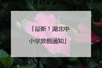 最新！湖北中小学放假通知