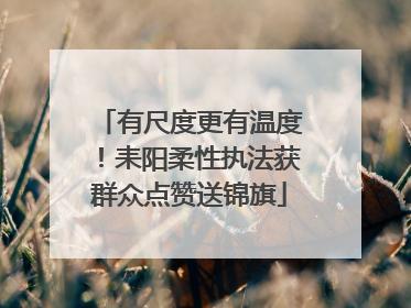 有尺度更有温度！耒阳柔性执法获群众点赞送锦旗