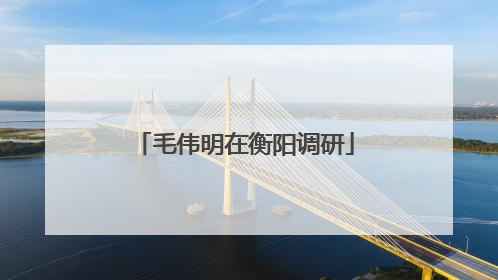 毛伟明在衡阳调研