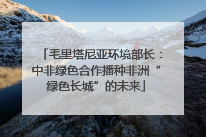 毛里塔尼亚环境部长：中非绿色合作播种非洲“绿色长城”的未来