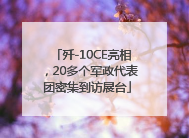 歼-10CE亮相，20多个军政代表团密集到访展台