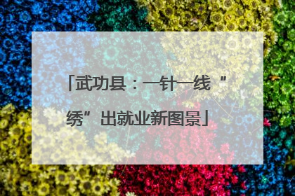 武功县：一针一线“绣”出就业新图景