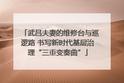 武昌夫妻的维修台与巡逻路 书写新时代基层治理“三重变奏曲”