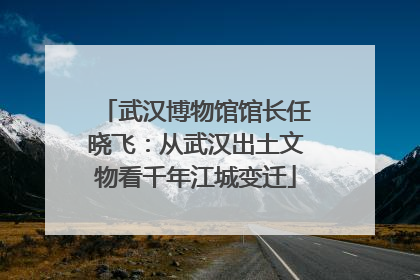 武汉博物馆馆长任晓飞：从武汉出土文物看千年江城变迁